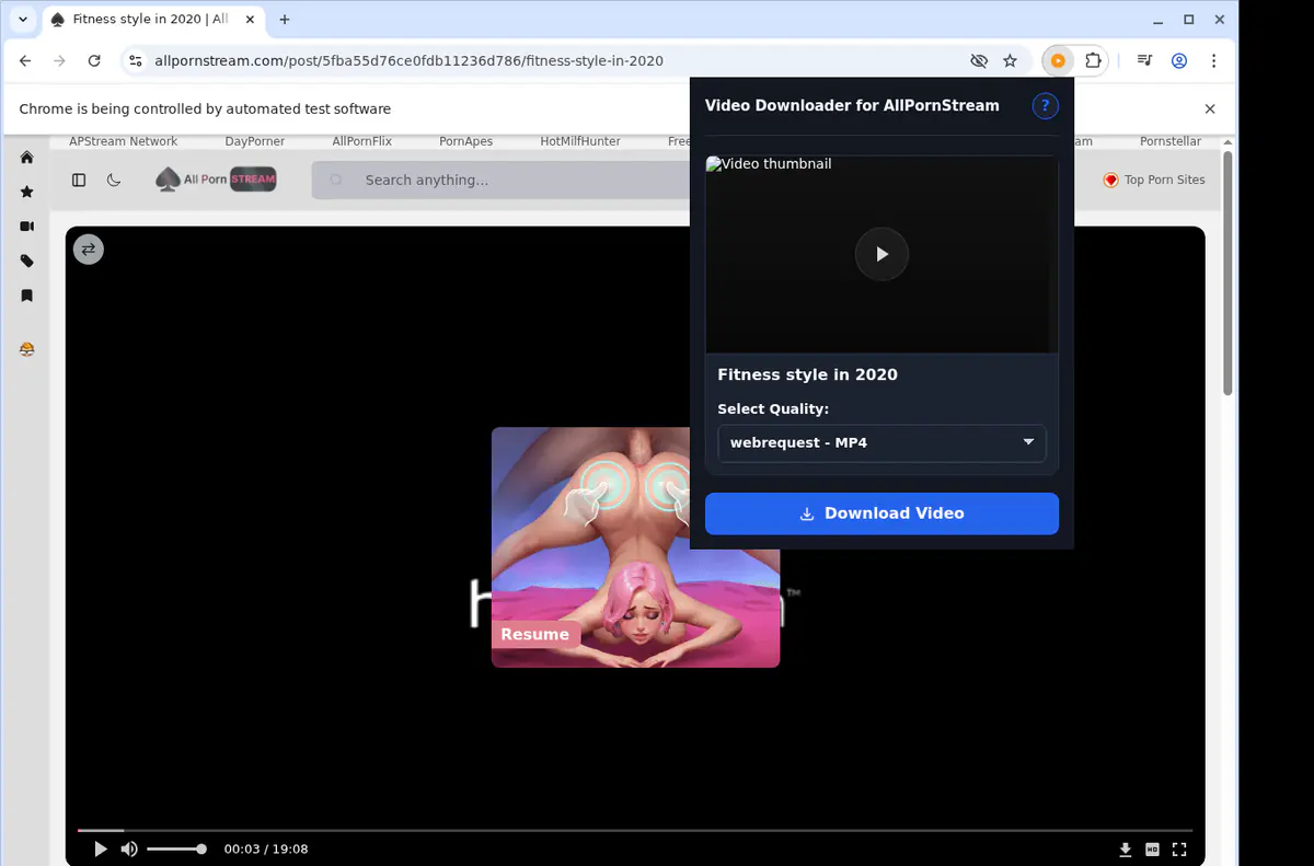 Allpornstream Video Downloader browser extension screenshot 3