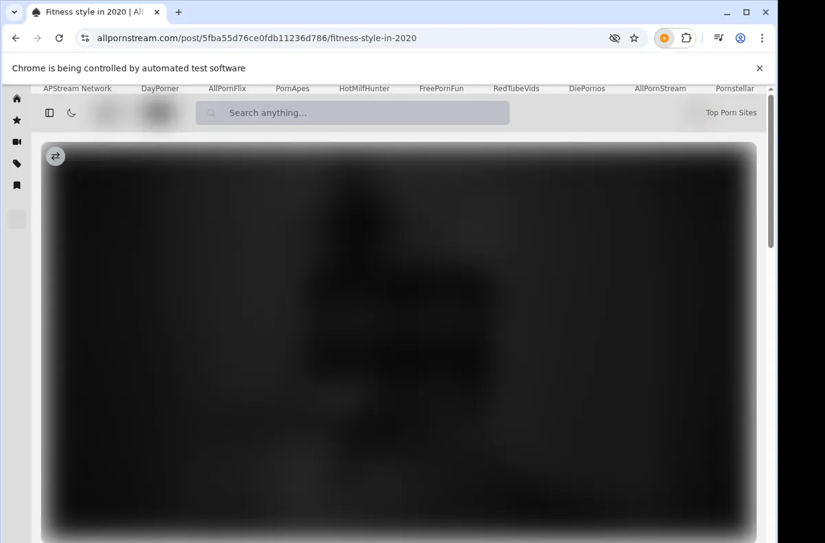Allpornstream Video Downloader browser extension screenshot 5